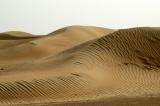 Dubai Desert Conservation Area