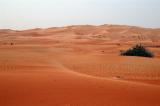 Dubai Desert Conservation Area