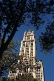 The Woolworth Building