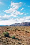 Kaibab Plateau, Northern Arizona