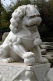 Chinese Lion, Tianjin Gardens, Spring Street