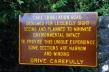 Cape Tribulation Road