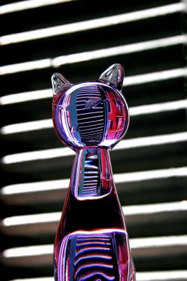 window cat