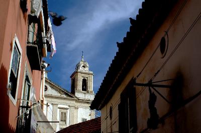 Alfama pigeons