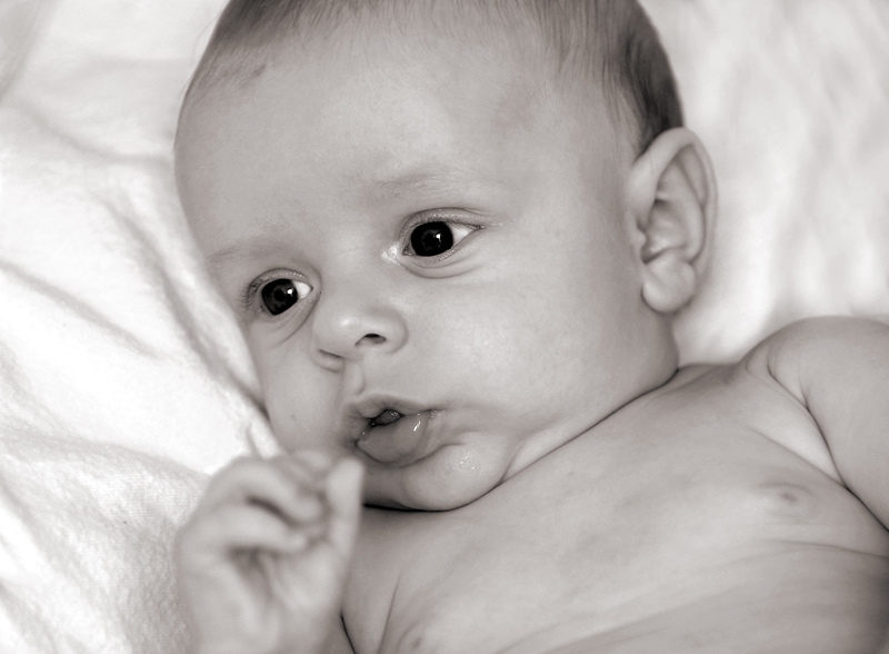 3 month old