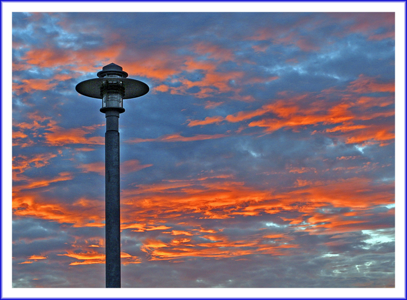                                                                   Ode to lampposts