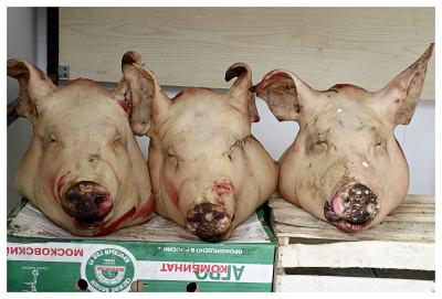 Three Little Pigs never came home...