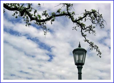 v3/93/348593/3/47861227.Overcast.jpg