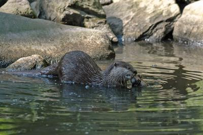 DSC_4484w.jpg