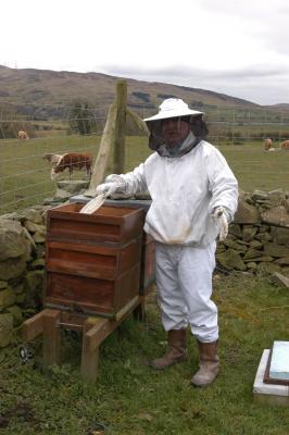 Beekeeper / N. Ireland