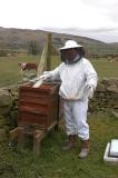 Beekeeper / N. Ireland