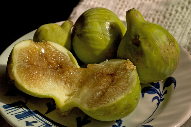 fresh figs