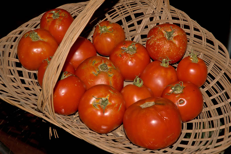 garden bounty