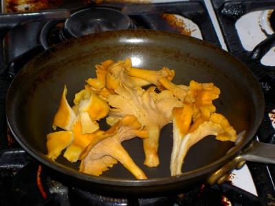 Wild chanterelles in pan for filet mignon