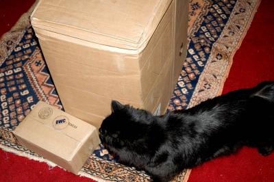 inspecting a deilvery