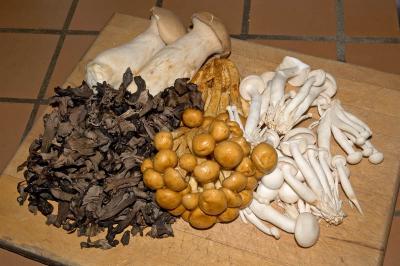 black trumpet, china giant oyster, beech, honey mushrooms
