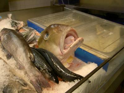 fishmongers sure have a strange sense of humor