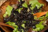 mesclun salad with sauteed black trumpet chanterelle mushrooms