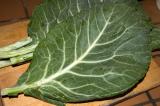 collard greens