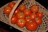 garden bounty