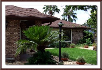 Front Yard