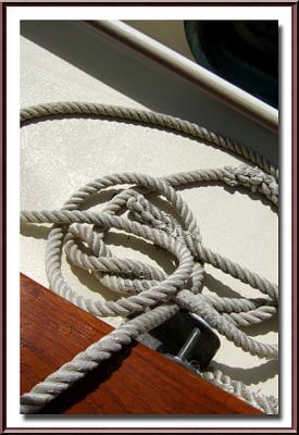 August 8, 2005  Untidy Seamanship