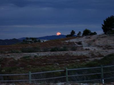 Moon Setting - Early Morning