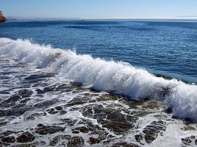 Central Coast