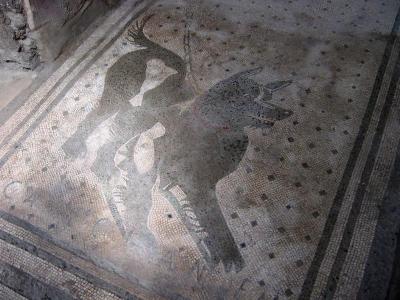 Cave Canem