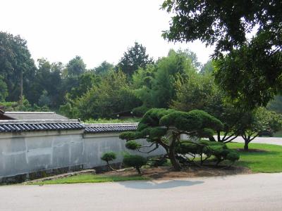 Shofuso - Wall