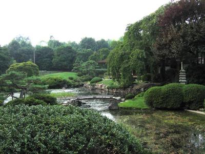 Garden Pond