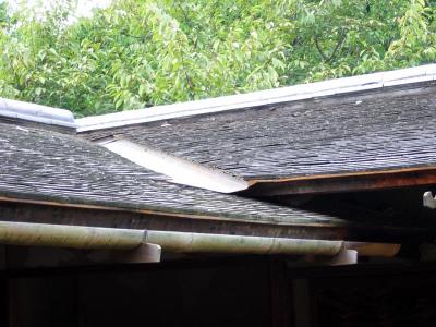 Hinoki Bark Roof