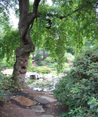 Garden Path