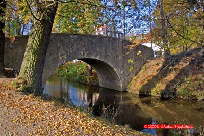 Lovely bridge in the park...