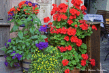 Porch flowers