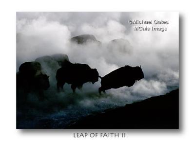 Leap of Faith II