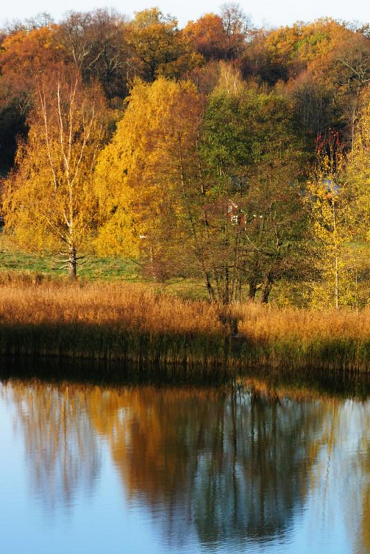 Refelections