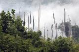 Prayer Flags