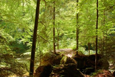 Sihlsprung- wildest part of the Sihl valley