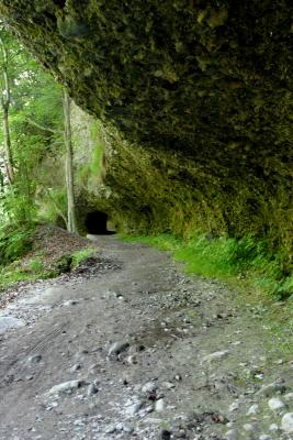 Sihlsprung- wildest part of the Sihl valley