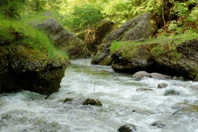 Sihlsprung- wildest part of the Sihl valley