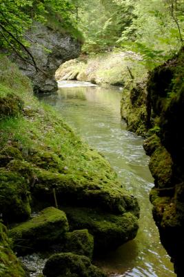 Sihlsprung- wildest part of the Sihl valley