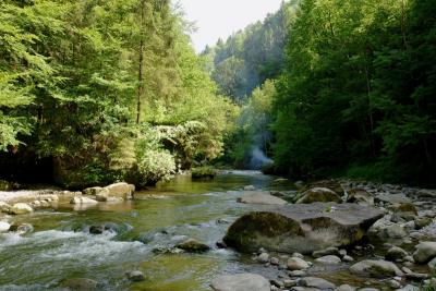 Sihlsprung- wildest part of the Sihl valley