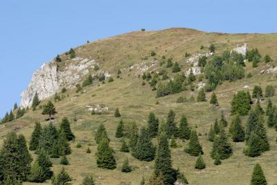 Praetschalp above Arosa