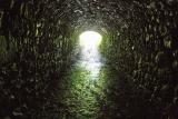 Light at the end of the tunnel ...