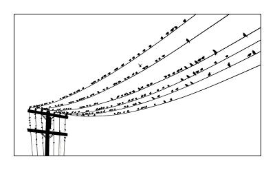 Birds on wire a