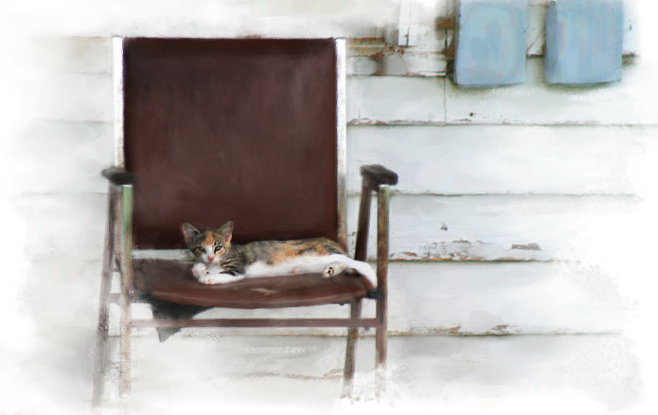 cathouse.jpg