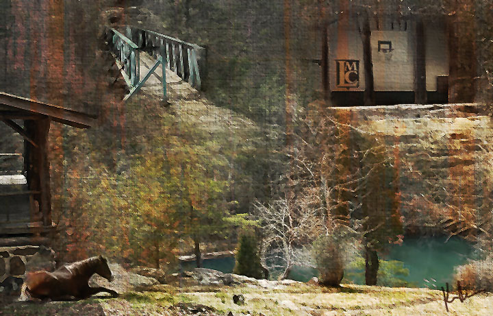 LMC camp copy.jpg