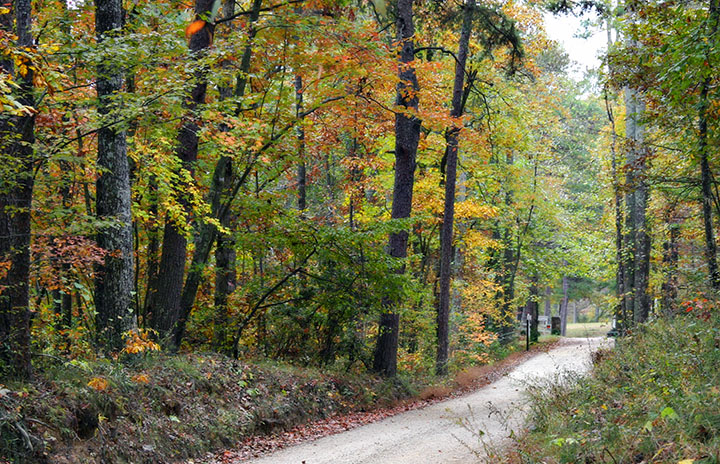 lmc road.jpg