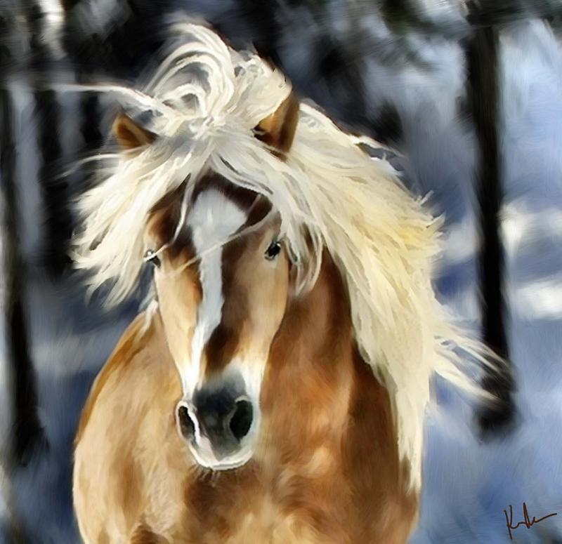 run horse.jpg
